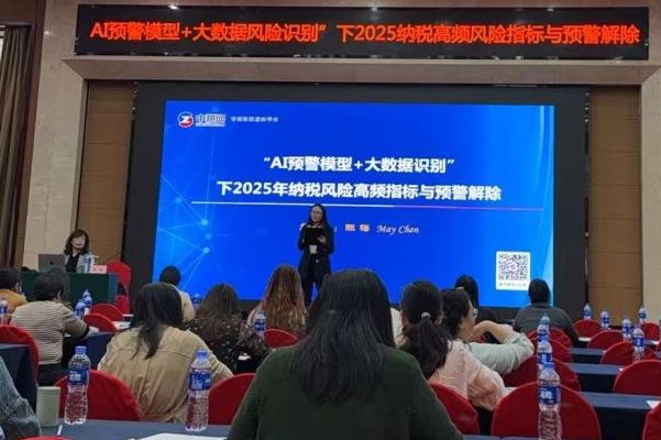 深化AI與大數(shù)據(jù)應用，精準防控2025納稅風險